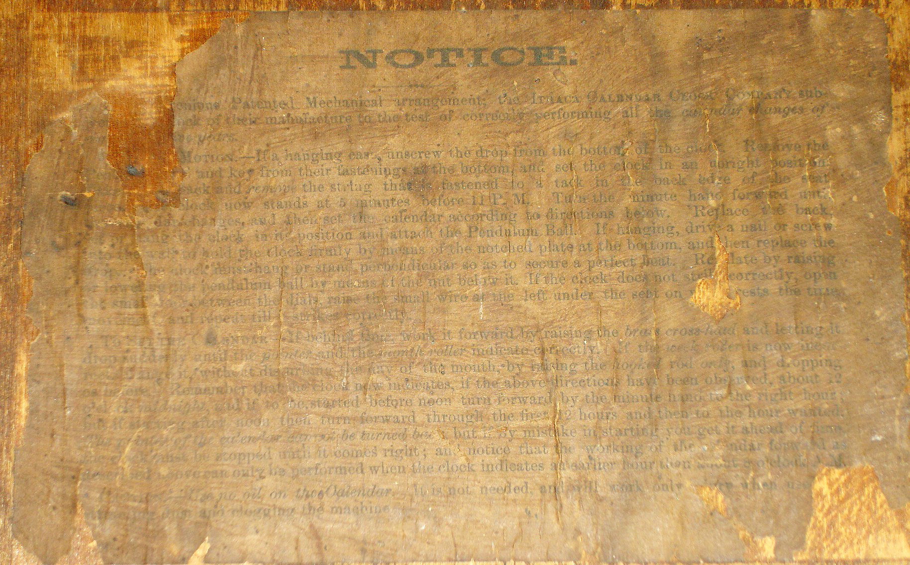 10389_02.jpg