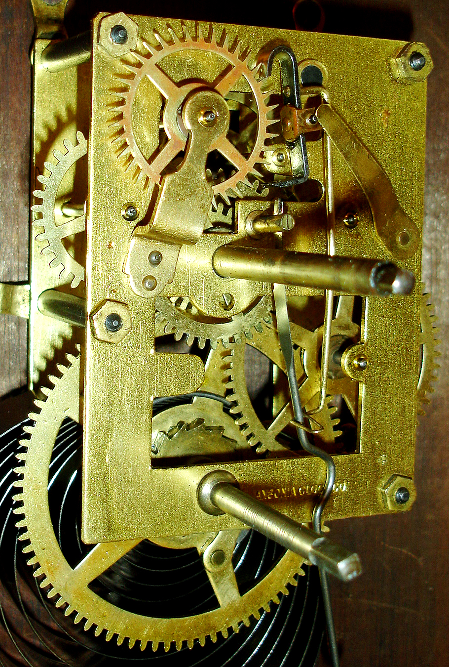 10461_02.jpg