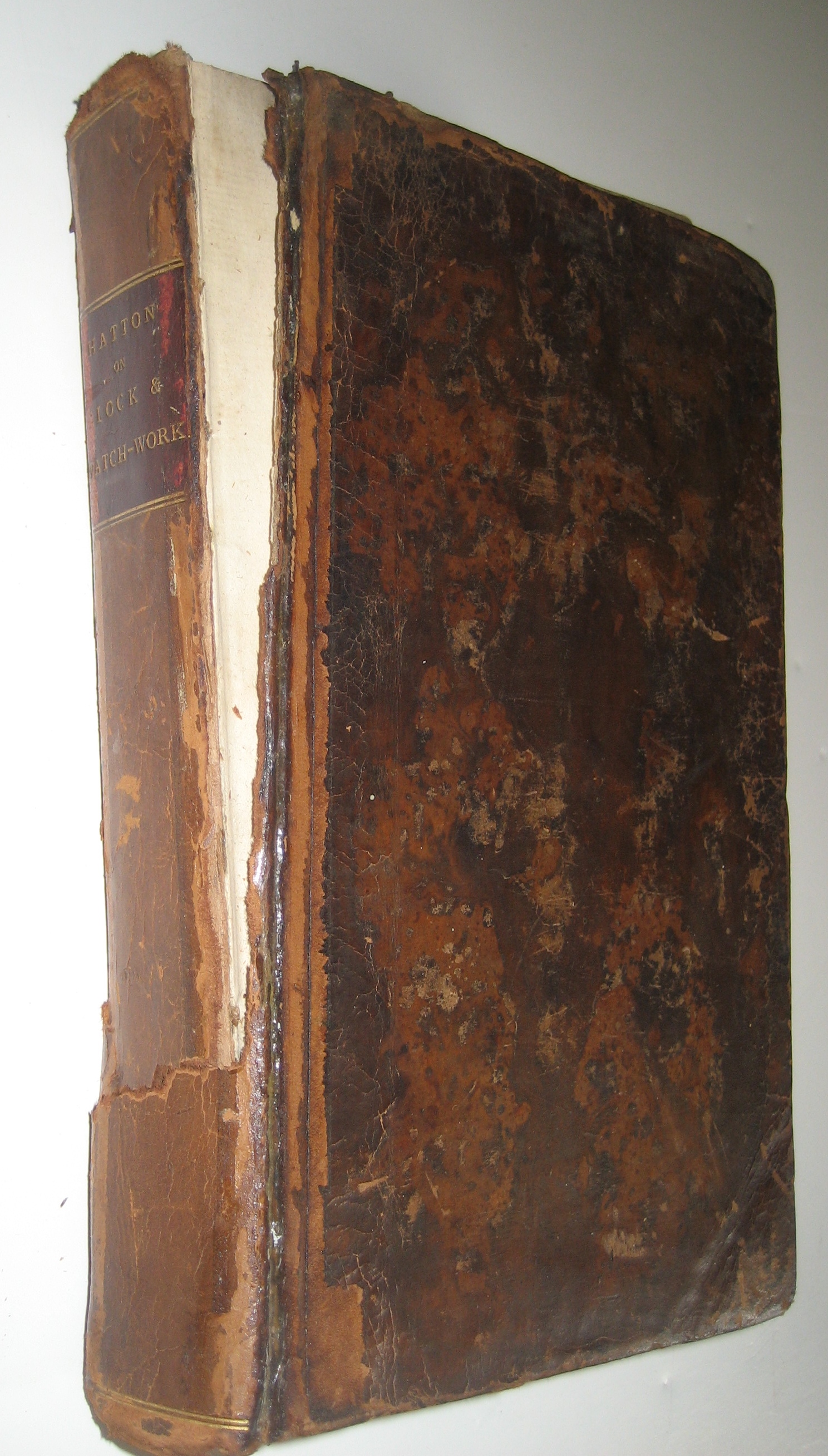 10894_01.jpg
