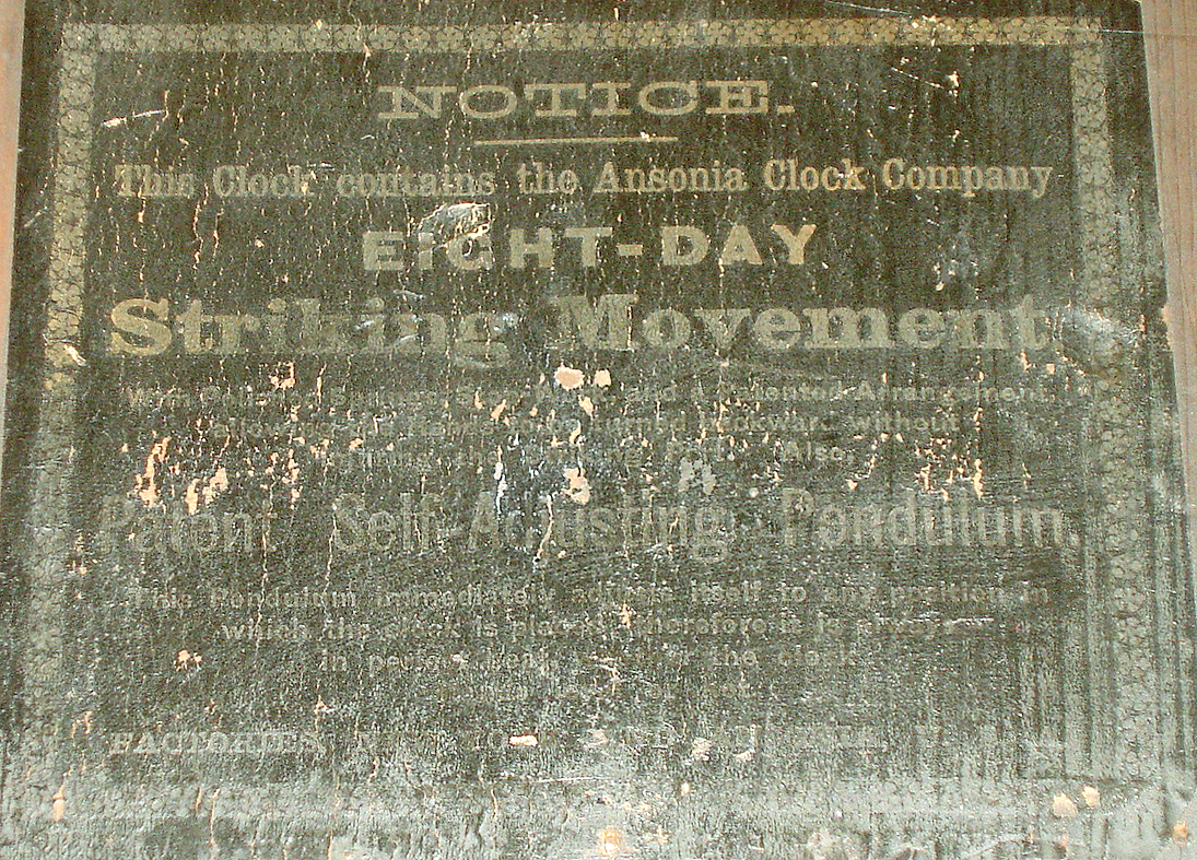 10955_02.jpg