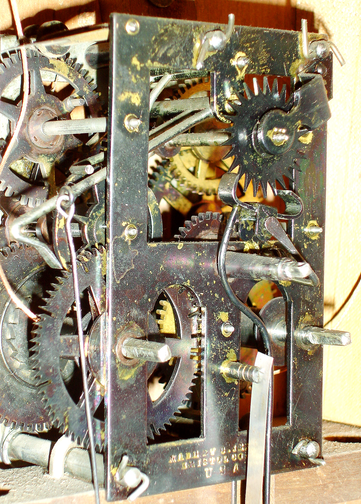 10999_02.jpg
