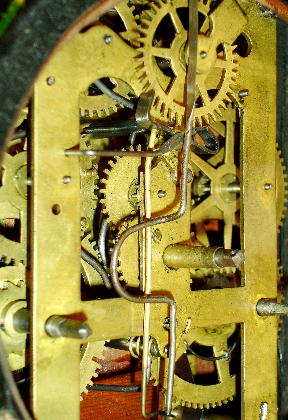 11003_02.jpg