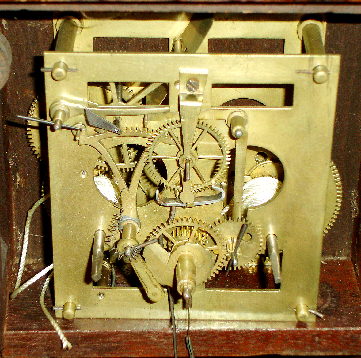 5549_02.jpg