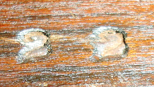 7548_07.jpg