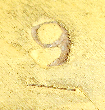 7552_05.jpg
