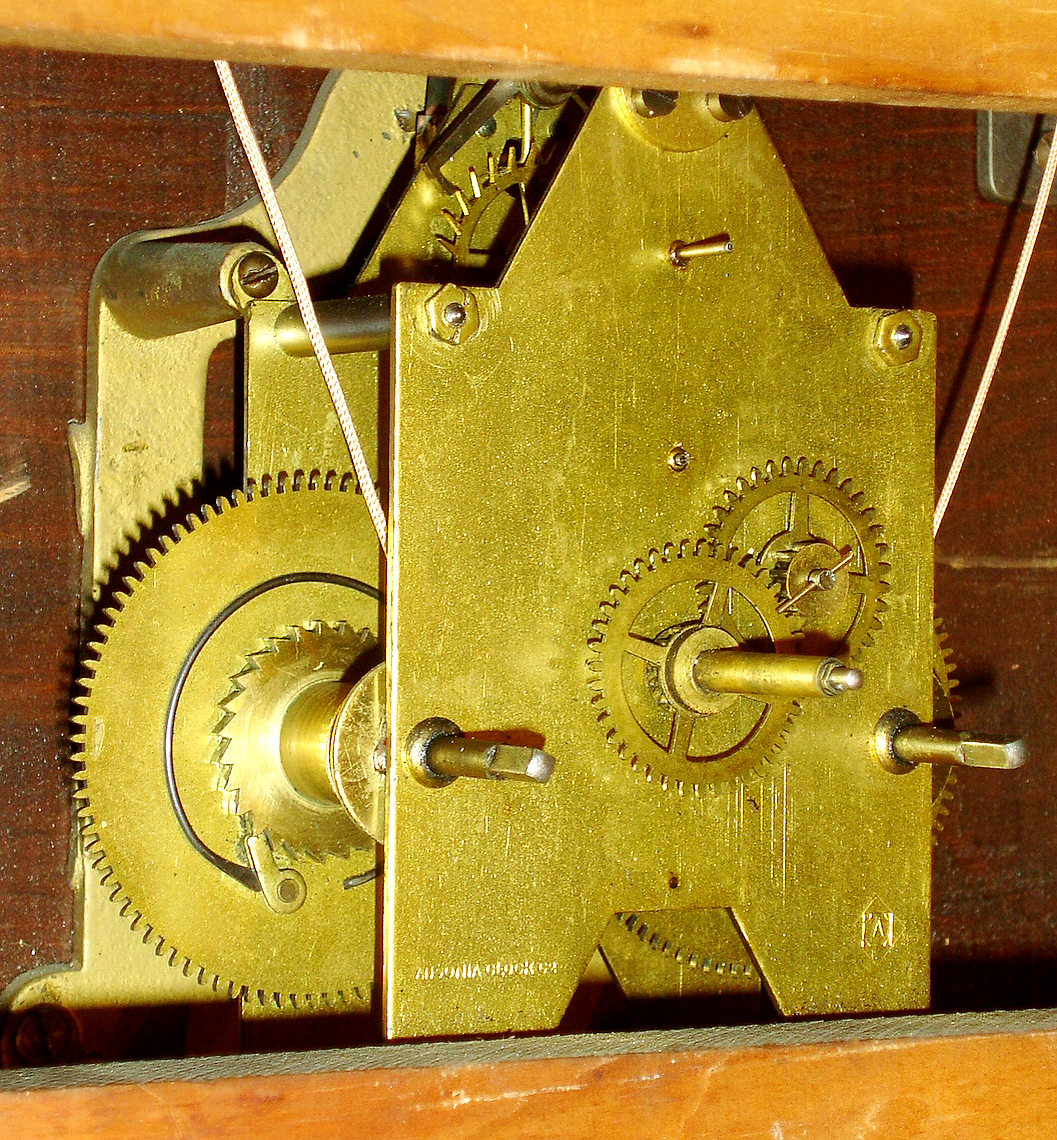 7989_01.jpg