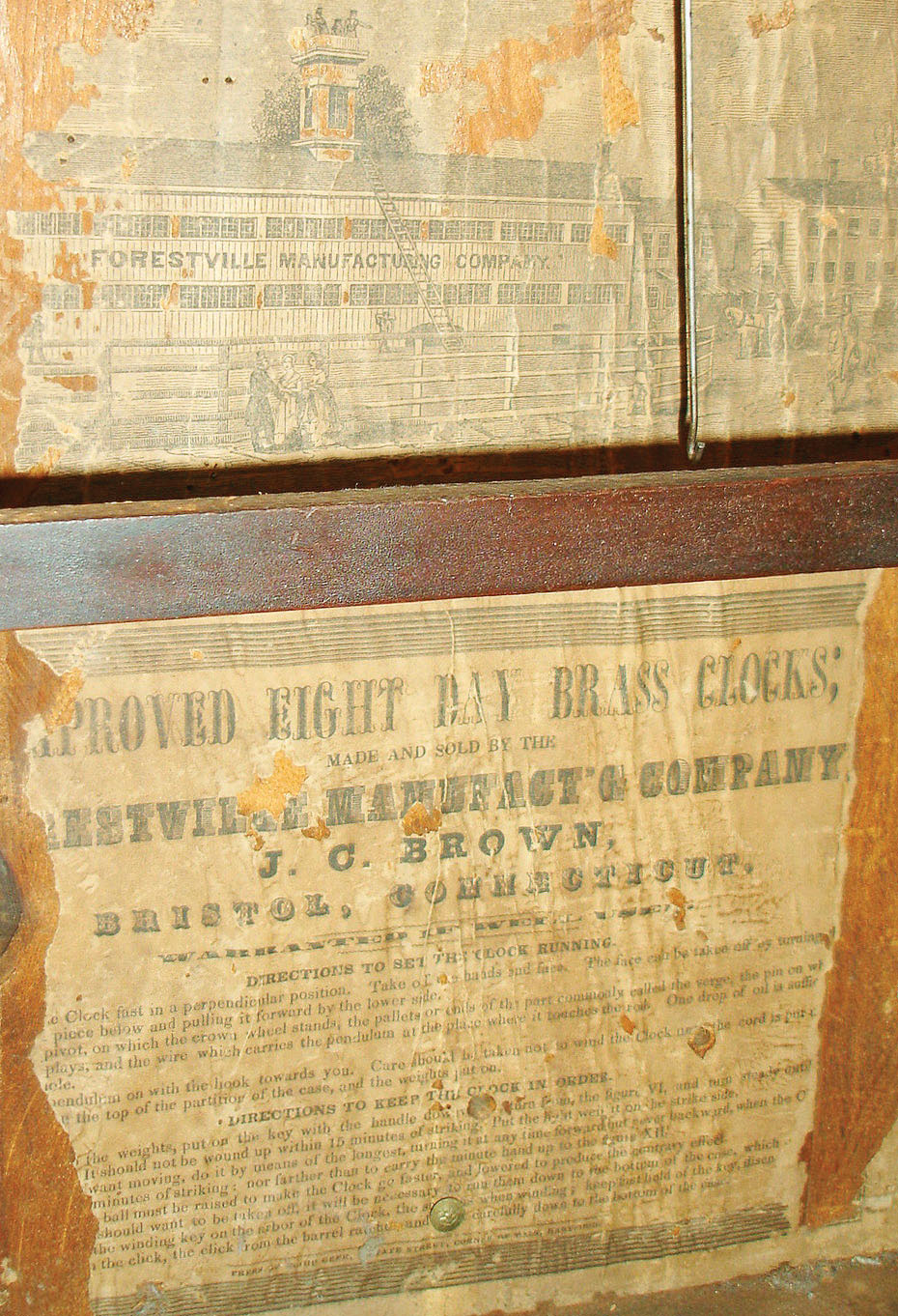 8581_03.jpg
