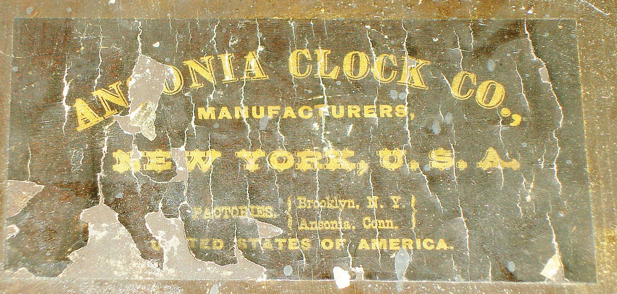 8597_02.jpg