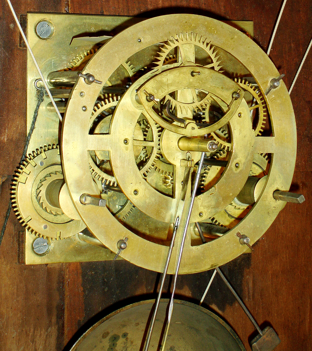 9065_02.jpg