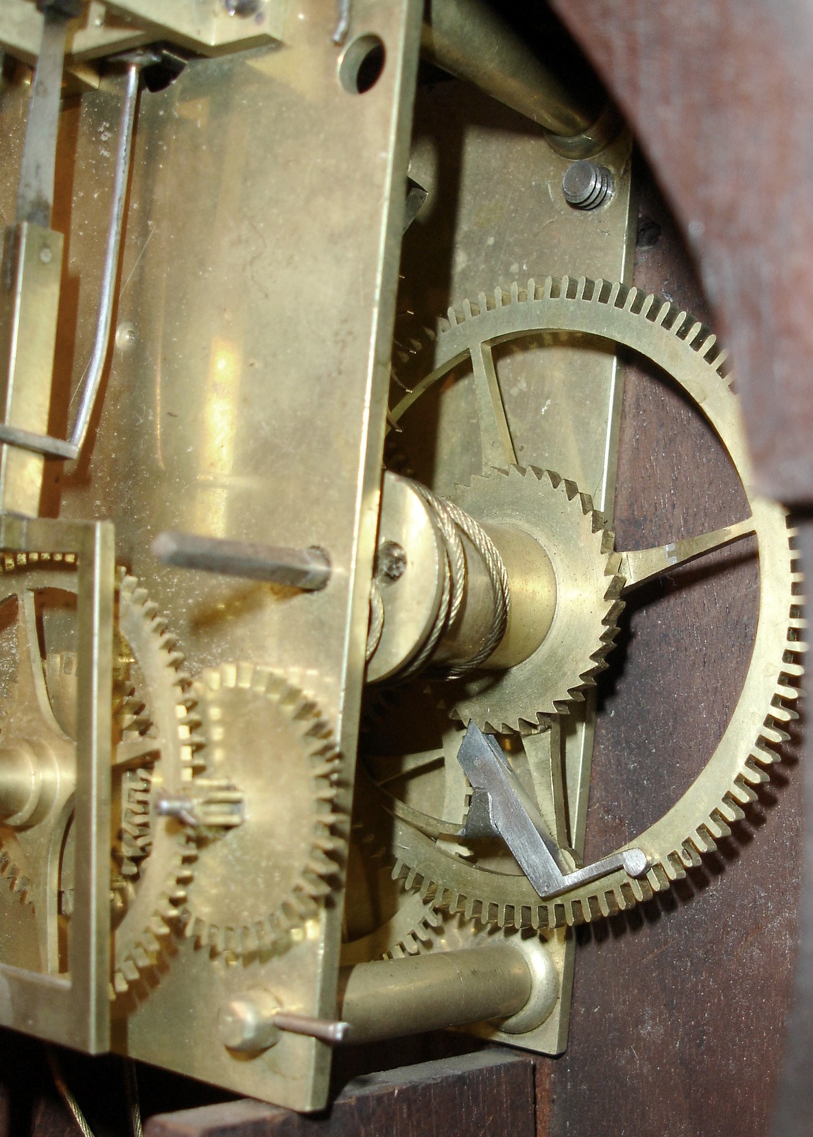 9733_02.jpg