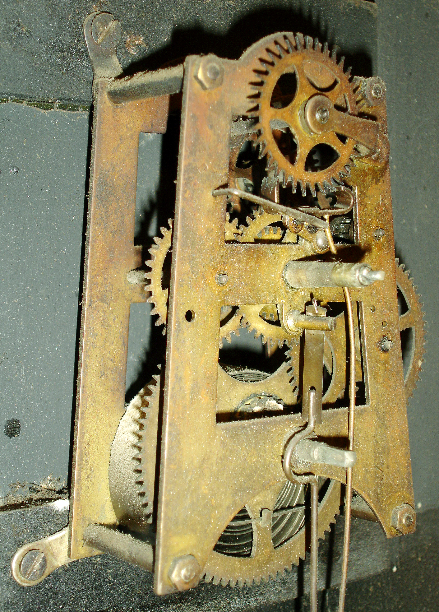 9810_01.jpg