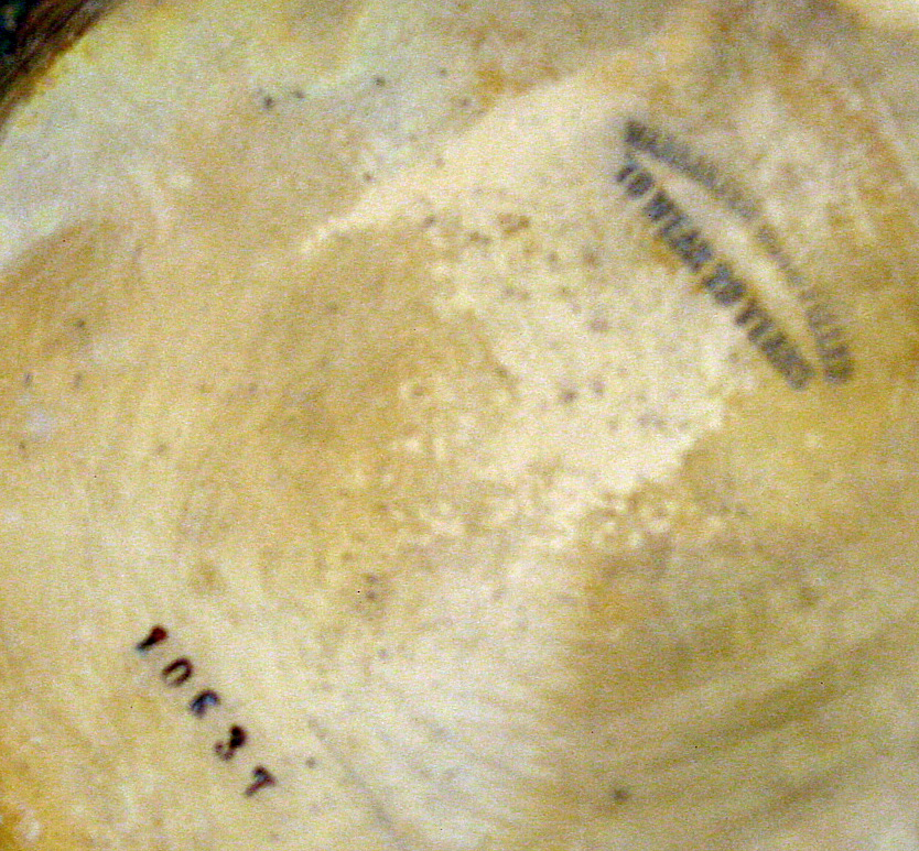 2918_05.jpg