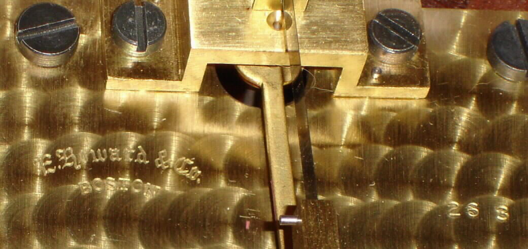 3161_03.jpg