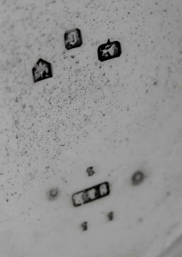 3179_05.jpg