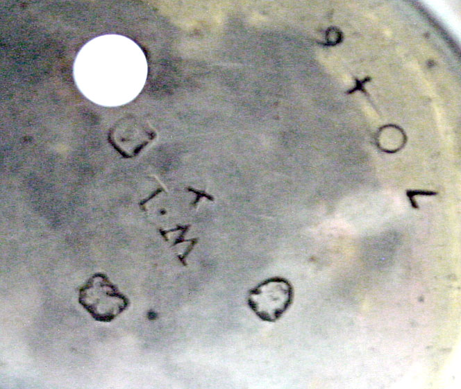 3340_07.jpg