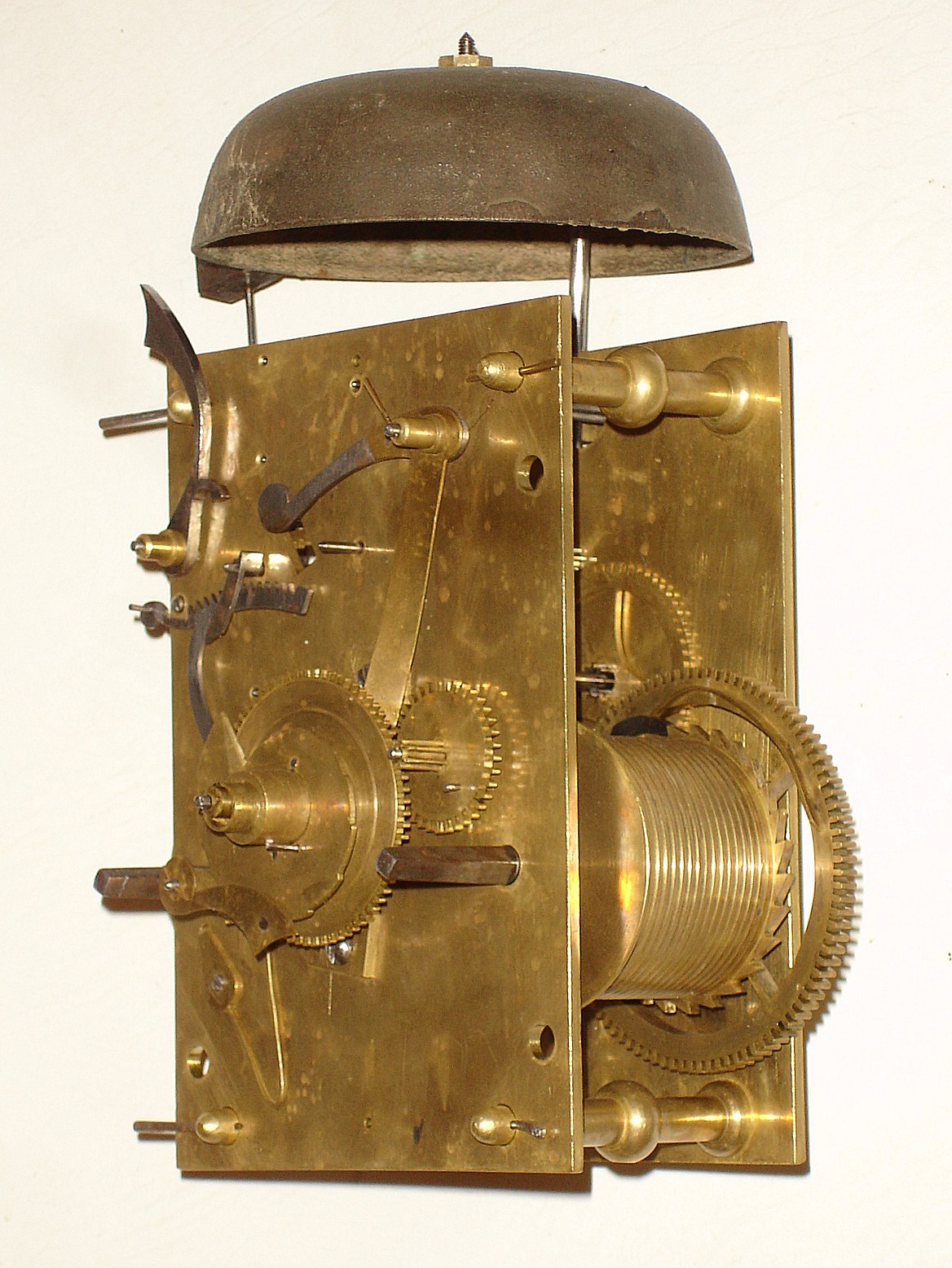 5156_01.jpg