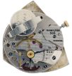 Hamilton Watch Co., Lancaster, Penn., "Pacer", cal. 505 electric movement in a yellow and white gold filled case with Arabic numeral and arrow marker metal dial and gilt dauphine hands, c1960.